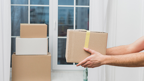 Domestic & International Courier services